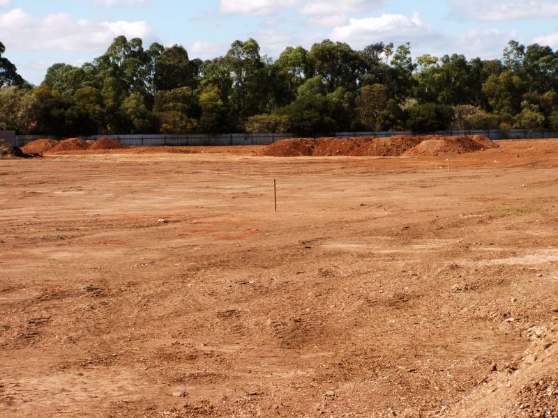 Site Preparation Service in Katy, TX