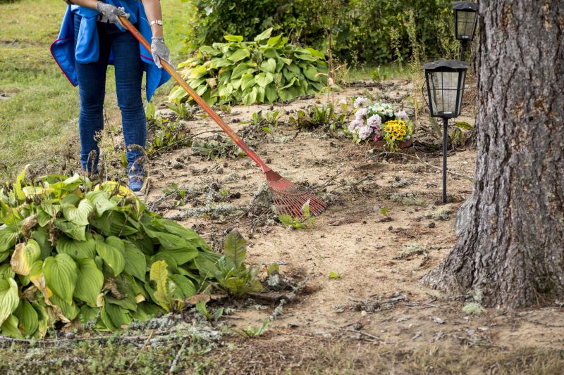 Undergrowth Removal in Marietta, GA